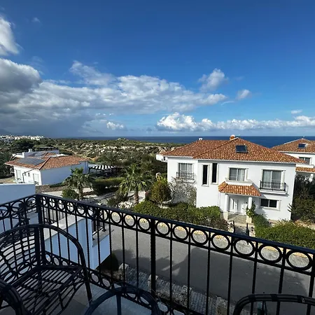 Carrington Holidays *