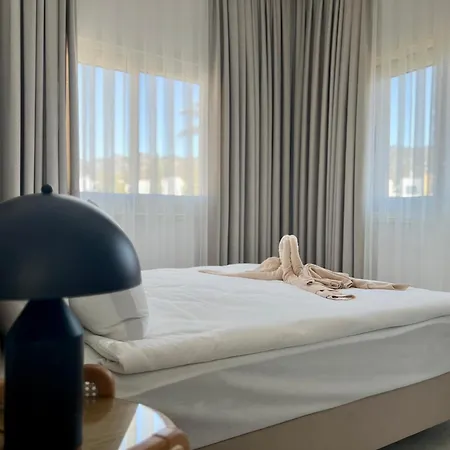 Carrington Holidays *