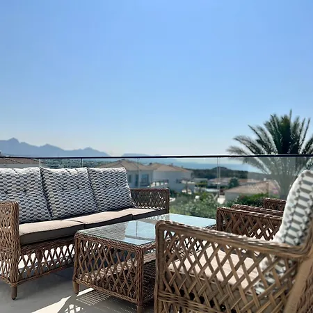 Carrington Holidays *