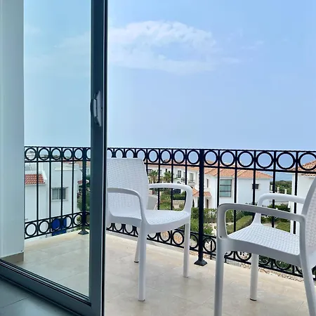 Carrington Holidays *